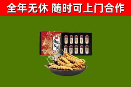 大余烟酒回收冬虫夏草礼盒.jpg